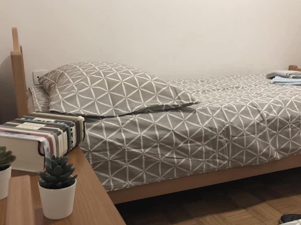 Apartment Gregoric 伊佐拉 外观 照片